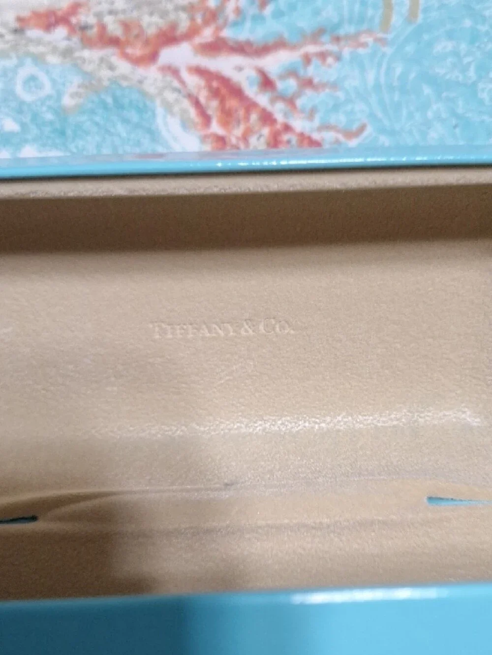 Tiffany & Co. Eye Glass Case And Glass Cleaning Cloth